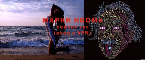 прущий лед Алзамай