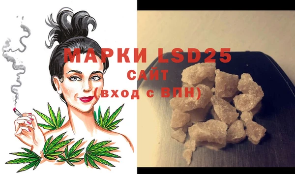 PSILOCYBIN Алексеевка