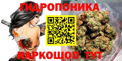 дживик Лесосибирск
