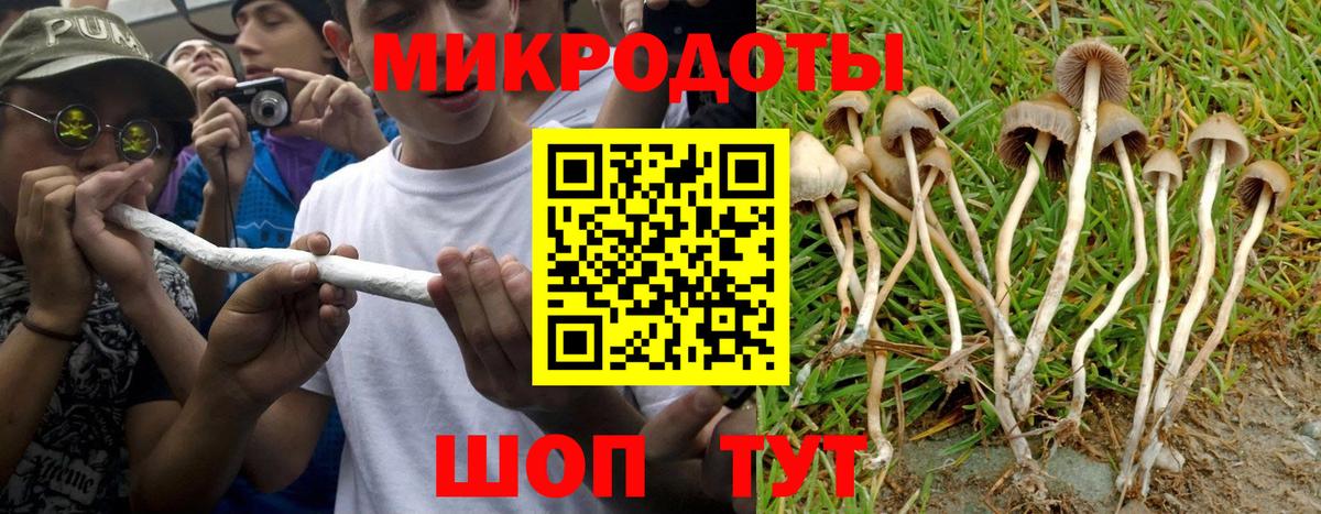 Псилоцибиновые грибы GOLDEN TEACHER Калач-на-Дону
